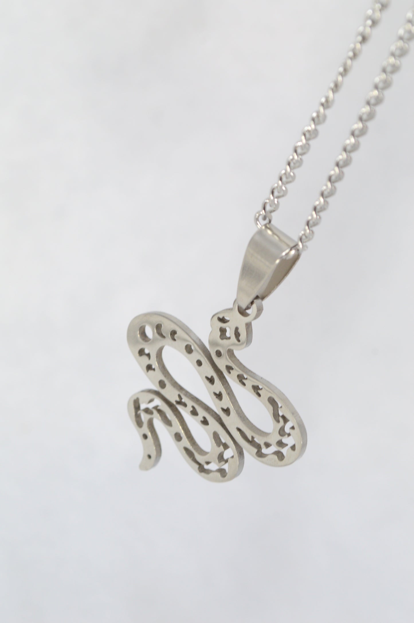 Stainless Steel Snake Pendant Necklace – Symbol of Transformation & Power