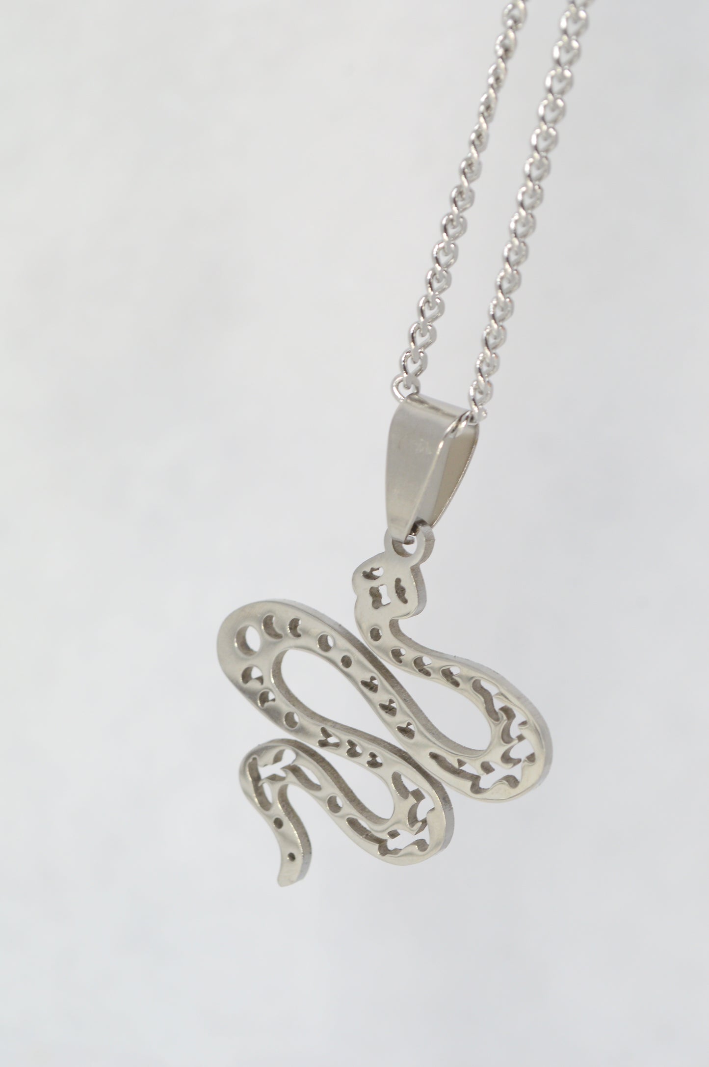 Stainless Steel Snake Pendant Necklace – Symbol of Transformation & Power