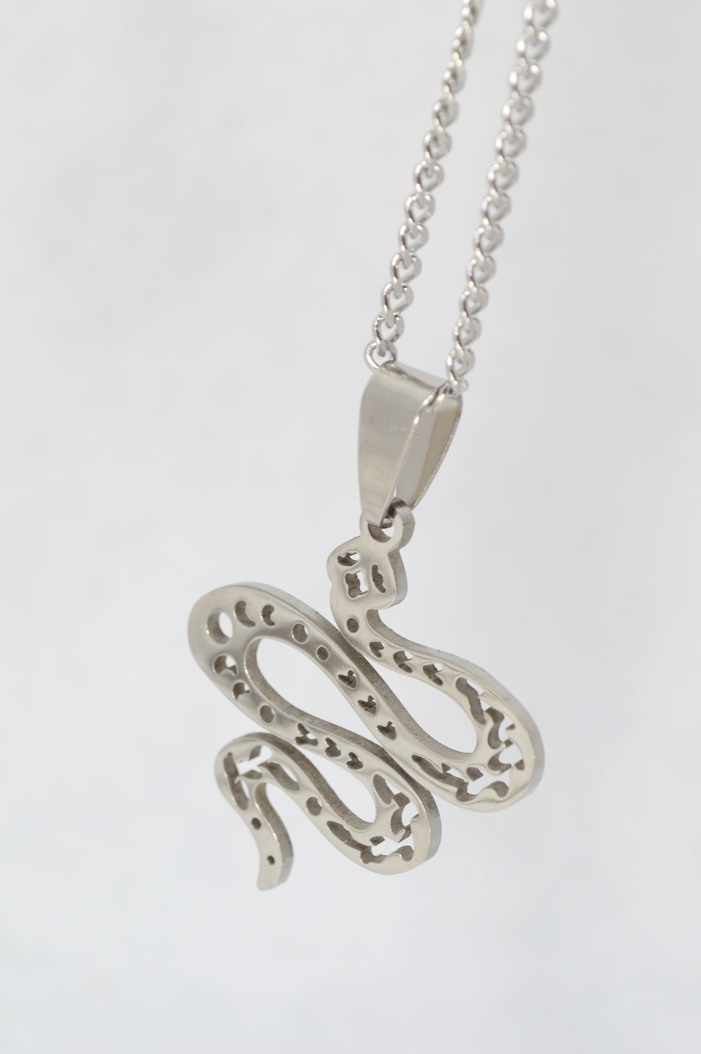 Stainless Steel Snake Pendant Necklace – Symbol of Transformation & Power